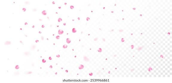 Rose Petals Falling Confete. Cosméticos Florescentes E Fundo Floral Nobre. O Vento Deixa O Design De Confetes. Voando Japonês Sakura Rose Cherry Petals Borda. Belo rico padrão feminino VIP.