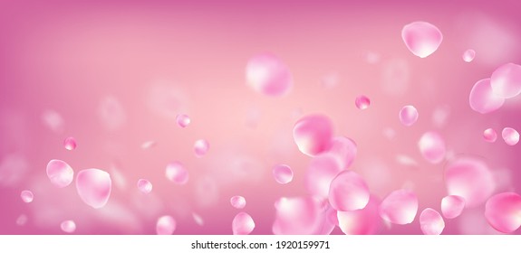 Rose Petals Falling Confetti. Elegant Rich VIP Tender Pattern. Flying Japanese Rose Sakura Cherry Petals Design. Blooming Cosmetics Ad Beautiful Floral Background. Windy Leaves Confetti Border.