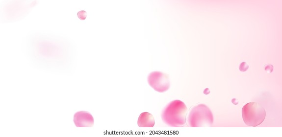 Rose Petals Falling Confetti. Elegant Rich VIP Pastel Pattern. Blooming Cosmetics Ad Noble Floral Background. Flying Japanese Cherry Sakura Rose Petals Banner. Windy Leaves Confetti Border.