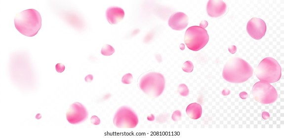 Rose Petals Falling Confetti. Elegant Rich VIP Watercolor Texture. Flying Japanese Rose Sakura Cherry Petals Border. Blooming Cosmetics Ad Beautiful Floral Background. Windy Leaves Confetti Poster.