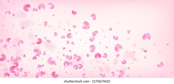 Rose Petals Falling Confetti. Elegant Rich VIP Pastel Texture. Blooming Cosmetics Ad Beautiful Floral Background. Falling Japanese Cherry Rose Sakura Petals Frame. Windy Leaves Confetti Border.