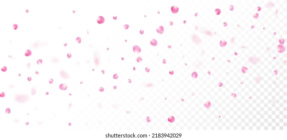 Pétalos de rosa cayendo en Confetti. Elegante Patrón de acuarela Premium. Diseño de Pétalos de cerezo de rosa Sakura, Japón. Windy Deja El Marco Confetti. Cosméticos Florecientes Y Fondo Floral Femenino.