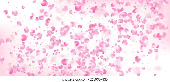 Rose Petals Falling Confetti. Female Premium Tender Pattern. Falling Japanese Rose Cherry Sakura Petals Border. Blooming Cosmetics Ad Elegant Flower Background. Windy Leaves Confetti Design.
