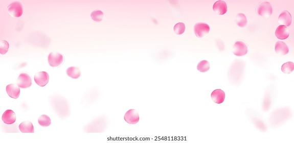 Rose Petals Falling Confete. Feminino Rich VIP Aquarela Textura. Flying Japanese Rose Cherry Sakura Petals Borda. Cosméticos Florescentes E Fundo De Flor Elegante. O Vento Deixa O Quadro De Confete.