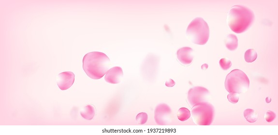 Pétalos de rosa cayendo en Confetti. Afiche de los Pétalos de la Rosa de Cerezo Voladora Japonesa. Hermoso Patrón de acuarela VIP Rico. Cosméticos Florecientes Y Fondo Floral Elegante. Windy Deja La Frontera Confetti.