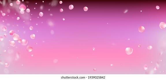 Rose Petals Falling Confetti. Flying Japanese Cherry Sakura Rose Petals Frame. Female Rich VIP Tender Texture. Windy Leaves Confetti Banner. Blooming Cosmetics Ad Beautiful Floral Background.