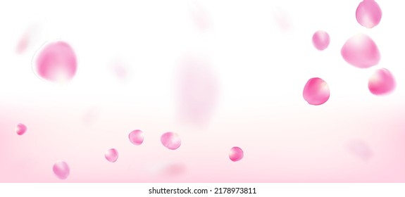 Rose Petals Falling Confetti. Flying Japanese Cherry Rose Sakura Petals Poster. Blooming Cosmetics Ad Female Flower Background. Elegant Premium Watercolor Pattern. Windy Leaves Confetti Border.