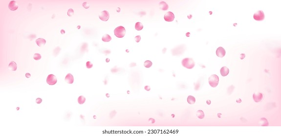 Rose Petals Falling Confetti. Flying Japanese Cherry Sakura Rose Petals Banner. Noble Premium Feminine Pattern. Blooming Cosmetics Ad Beautiful Floral Background. Windy Leaves Confetti Design.