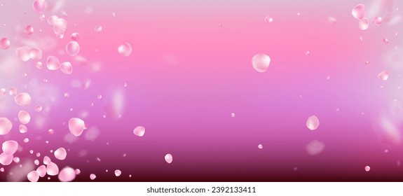 Rose Petals Falling Confetti. Flying Japanese Sakura Rose Cherry Petals Frame. Blooming Cosmetics Ad Elegant Floral Background. Female Premium Magic Texture. Windy Leaves Confetti Border.