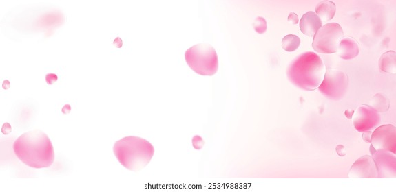 Rose Petals Falling Confetti. Flying Japanese Cherry Sakura Rose Petals Banner. Windy Leaves Confetti Design. Elegant Rich VIP Pastel Pattern. Blooming Cosmetics Ad Female Flower Background.
