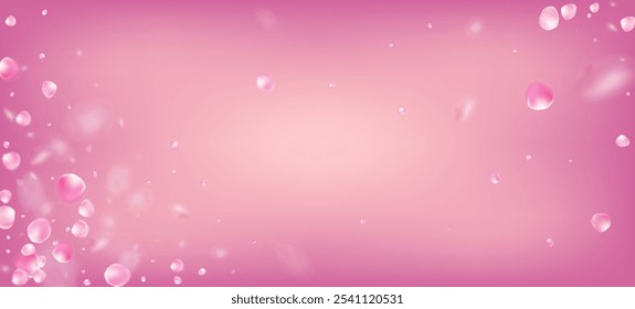 Confeti Caído De Pétalos De Rosa. Flying Japanese Sakura Cherry Rose Pétalos Frontera. Textura femenina de Premium. Diseño de confeti de hojas ventosas. Cosméticos En Flor Y Hermoso Fondo Floral.
