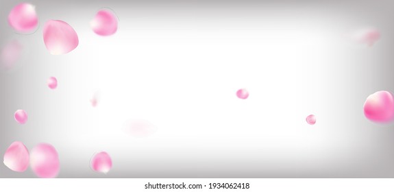 Rose Petals Falling Confetti. Falling Japanese Rose Sakura Cherry Petals Border. Female Premium Pastel Pattern. Blooming Cosmetics Ad Beautiful Flower Background. Windy Leaves Confetti Banner.
