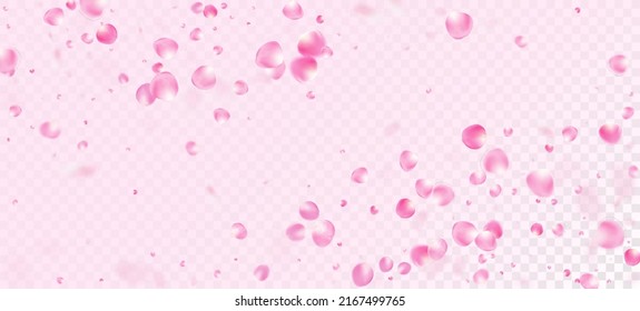 Rose Petals Falling Confetti. Falling Japanese Rose Cherry Sakura Petals Banner. Blooming Cosmetics Ad Female Floral Background. Elegant Premium Watercolor Pattern. Windy Leaves Confetti Design.