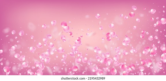 Rose Petals Falling Confetti. Falling Japanese Cherry Sakura Rose Petals Poster. Blooming Cosmetics Ad Elegant Floral Background. Windy Leaves Confetti Frame. Beautiful Rich VIP Pastel Pattern.