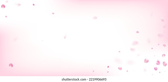 Rose Petals Falling Confetti. Falling Japanese Sakura Rose Cherry Petals Banner. Blooming Cosmetics Ad Beautiful Flower Background. Female Premium Watercolor Pattern. Windy Leaves Confetti Design.