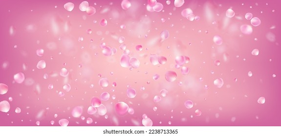 Rose Petals Falling Confetti. Falling Japanese Cherry Sakura Rose Petals Banner. Female Premium Magic Texture. Windy Leaves Confetti Border. Blooming Cosmetics Ad Noble Flower Background.