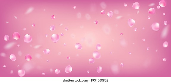 Rose Petals Falling Confetti. Windy Leaves Confetti Poster. Blooming Cosmetics Ad Female Flower Background. Falling Japanese Rose Sakura Cherry Petals Frame. Beautiful Rich VIP Magic Pattern.