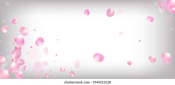 Pétalos de rosa cayendo en Confetti. Windy Deja El Diseño Confetti. Caída del marco de los pepitas de rosa de cerezo Sakura japonés. Cosméticos Florecientes Y Fondo Floral Femenino. Elegante Textura Pastel Premium.