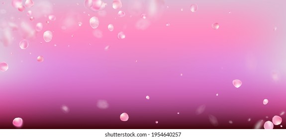 Rose Petals Falling Confetti. Windy Leaves Confetti Border. Elegant Premium Watercolor Texture. Blooming Cosmetics Ad Noble Floral Background. Flying Japanese Cherry Sakura Rose Petals Banner.