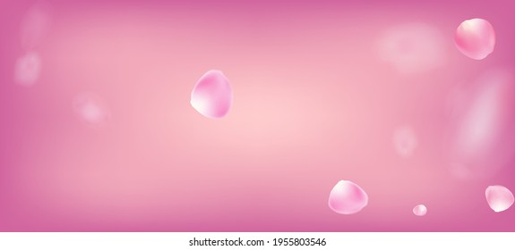 Rose Petals Falling Confetti. Windy Leaves Confetti Banner. Female Rich VIP Tender Texture. Falling Japanese Cherry Sakura Rose Petals Poster. Blooming Cosmetics Ad Elegant Flower Background.