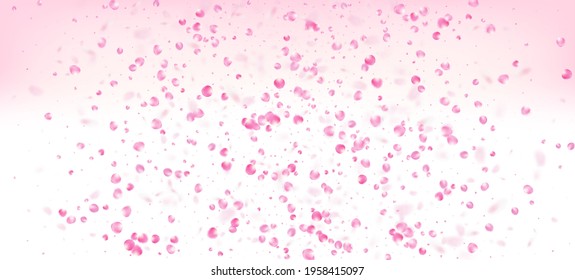 Rose Petals Falling Confetti. Windy Leaves Confetti Poster. Flying Japanese Rose Cherry Sakura Petals Frame. Blooming Cosmetics Ad Elegant Floral Background. Beautiful Rich VIP Tender Texture.