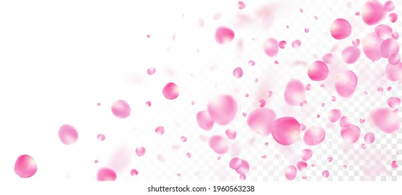 Rose Petals Falling Confetti. Windy Petals Confetti Border. Blooming Floral Cosmetics Ad Background. Flying Japanese Cherry Rose Sakura Petals Frame. Female Rich VIP Watercolor Pattern.