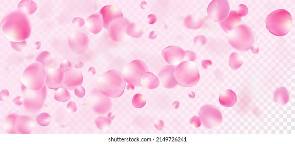 Rose Petals Falling Confetti. Windy Leaves Confetti Design. Female Rich VIP Watercolor Texture. Flying Japanese Cherry Sakura Rose Petals Poster. Blooming Cosmetics Ad Beautiful Floral Background.