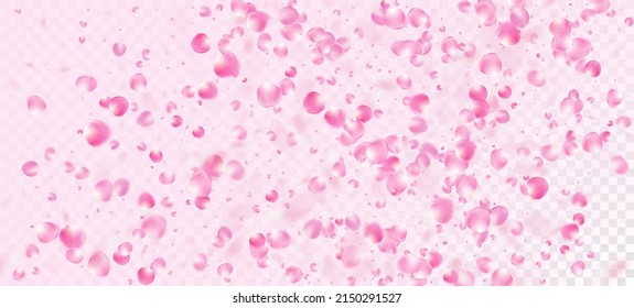 Pétalos de rosa cayendo en Confetti. Windy Deja Afiche Confetti. Cosméticos Florecientes Y Fondo Noble De Flores. Cartel de la caída de los pepitas de rosa de cerezo de Sakura. Hermosa y rica textura femenina VIP.