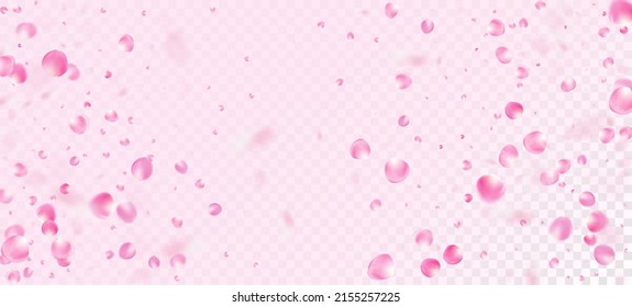 Rose Petals Falling Confetti. Windy Leaves Confetti Border. Blooming Cosmetics Ad Female Flower Background. Falling Japanese Cherry Sakura Rose Petals Design. Beautiful Rich VIP Watercolor Texture.