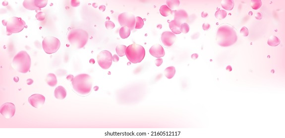 Rose Petals Falling Confetti. Windy Leaves Confetti Poster. Flying Japanese Cherry Rose Sakura Petals Banner. Blooming Cosmetics Ad Beautiful Floral Background. Female Rich VIP Feminine Pattern.