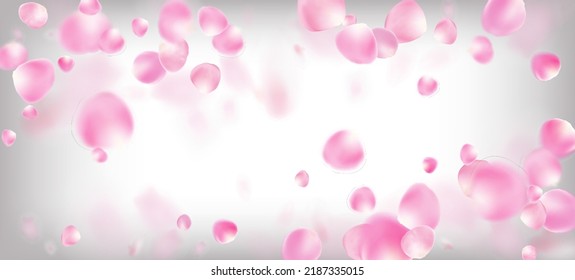 Rose Petals Falling Confetti. Windy Leaves Confetti Border. Flying Japanese Rose Cherry Sakura Petals Frame. Female Rich VIP Tender Pattern. Blooming Cosmetics Ad Noble Flower Background.