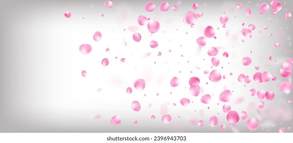 Rose Petals Falling Confetti. Windy Leaves Confetti Banner. Blooming Cosmetics Ad Beautiful Floral Background. Flying Japanese Sakura Rose Cherry Petals Frame. Elegant Premium Pastel Texture.