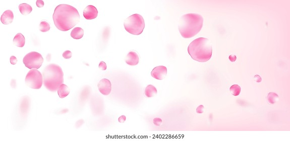 Rose Petals Falling Confetti. Windy Leaves Confetti Poster. Blooming Cosmetics Ad Beautiful Flower Background. Falling Japanese Rose Sakura Cherry Petals Frame. Elegant Premium Tender Texture.