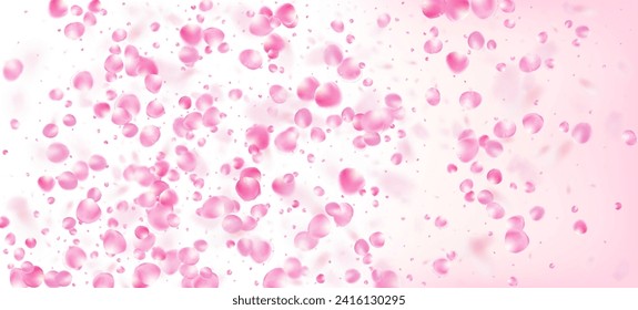 Pétalos de rosa cayendo en Confetti. Windy Deja La Frontera Confetti. Noble Textura Mágica Premium. Caída del marco japonés de los pétalos de cerezo de rosa Sakura. Cosméticos Florecientes Y Fondo De Flores Femeninas.