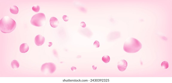 Rose Petals Falling Confetti. Windy Leaves Confetti Border. Blooming Cosmetics Ad Beautiful Floral Background. Flying Japanese Rose Sakura Cherry Petals Banner. Noble Premium Pastel Pattern.