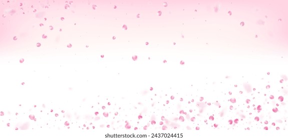 Rose Petals Falling Confetti. Windy Leaves Confetti Design. Female Premium Magic Pattern. Falling Japanese Cherry Rose Sakura Petals Poster. Blooming Cosmetics Ad Elegant Floral Background.