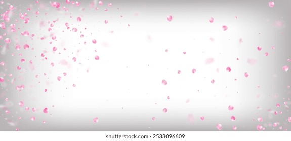 Rose Petals Falling Confetti. Windy Leaves Confetti Frame. Falling Japanese Sakura Rose Cherry Petals Banner. Blooming Cosmetics Ad Noble Flower Background. Female Premium Tender Texture.