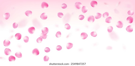 Confeti Caído De Pétalos De Rosa. El Viento Deja La Frontera De Confeti. Diseño de pétalos de rosa de cereza japonesa voladora Sakura. Cosméticos En Flor Y Hermoso Fondo De Flores. Patrón mágico VIP noble rico.