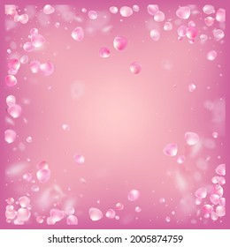 Rose Petals Flying Confetti. Blooming Cosmetics Ad Noble Flower Background. Windy Leaves Confetti Frame. Female Premium Watercolor Texture. Flying Japanese Cherry Rose Sakura Petals Design.