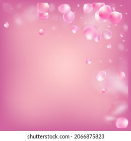 Rose Petals Flying Confetti. Blooming Cosmetics Ad Beautiful Floral Background. Female Premium Watercolor Texture. Windy Leaves Confetti Frame. Flying Japanese Cherry Rose Sakura Petals Poster.