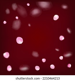 Rose Petals Flying Confetti. Blooming Cosmetics Ad Female Floral Background. Windy Leaves Confetti Poster. Flying Japanese Cherry Rose Sakura Petals Banner. Noble Premium Magic Pattern.