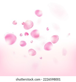 Rose Petals Flying Confetti. Blooming Cosmetics Ad Female Floral Background. Windy Leaves Confetti Design. Beautiful Rich VIP Feminine Pattern. Flying Japanese Cherry Rose Sakura Petals Border.