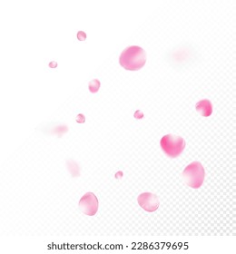 Rose Petals Flying Confetti. Blooming Cosmetics Ad Noble Floral Background. Elegant Rich VIP Magic Texture. Falling Japanese Cherry Sakura Rose Petals Frame. Windy Leaves Confetti Border.