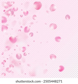 Rose Petals Flying Confetti. Blooming Cosmetics Ad Beautiful Flower Background. Female Premium Watercolor Pattern. Falling Japanese Cherry Rose Sakura Petals Design. Windy Leaves Confetti Banner.