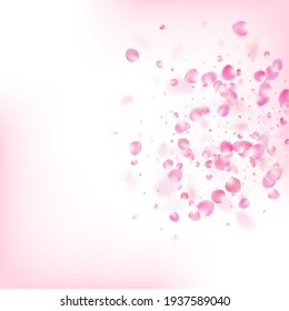 Rose Petals Flying Confetti. Elegant Premium Watercolor Texture. Blooming Cosmetics Ad Noble Floral Background. Windy Leaves Confetti Design. Falling Japanese Rose Sakura Cherry Petals Border.