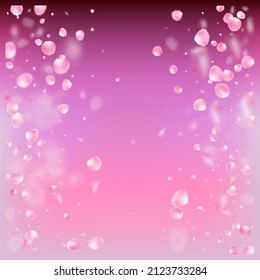 Rose Petals Flying Confetti. Elegant Premium Pastel Texture. Blooming Cosmetics Ad Beautiful Flower Background. Falling Japanese Rose Sakura Cherry Petals Design. Windy Leaves Confetti Frame.