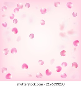 Rose Petals Flying Confetti. Elegant Rich VIP Tender Texture. Blooming Cosmetics Ad Beautiful Floral Background. Falling Japanese Sakura Cherry Rose Petals Design. Windy Leaves Confetti Poster.