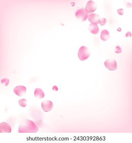 Rose Petals Flying Confetti. Elegant Rich VIP Feminine Texture. Windy Leaves Confetti Poster. Blooming Cosmetics Ad Female Flower Background. Flying Japanese Sakura Cherry Rose Petals Border.