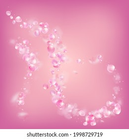 Rose Petals Flying Confetti. Falling Japanese Rose Sakura Cherry Petals Design. Beautiful Premium Tender Pattern. Windy Leaves Confetti Poster. Blooming Cosmetics Ad Elegant Floral Background.