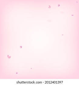 Rose Petals Flying Confetti. Falling Japanese Cherry Sakura Rose Petals Frame. Female Premium Magic Pattern. Windy Leaves Confetti Design. Blooming Cosmetics Ad Elegant Floral Background.